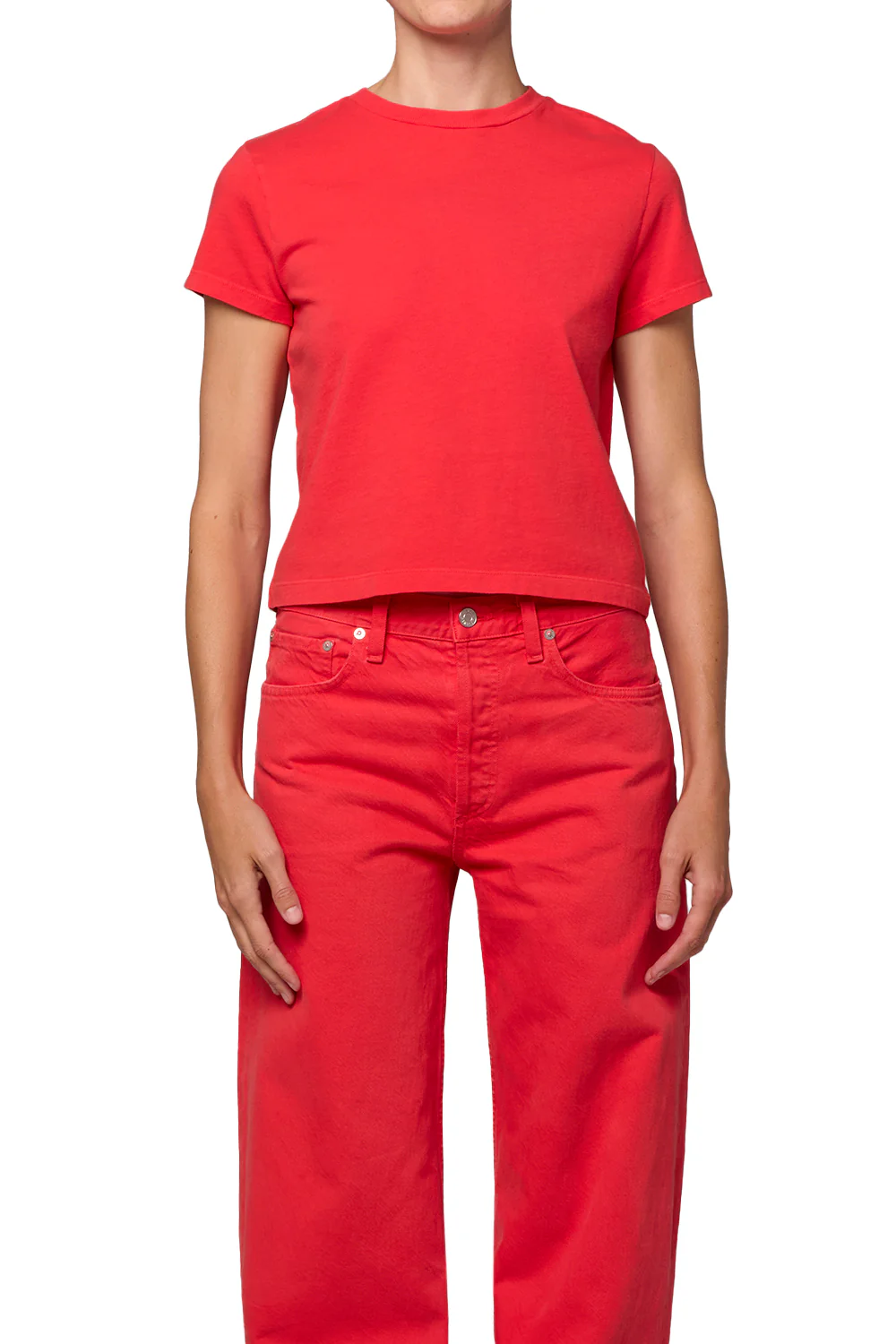 Adine Shrunken Tee